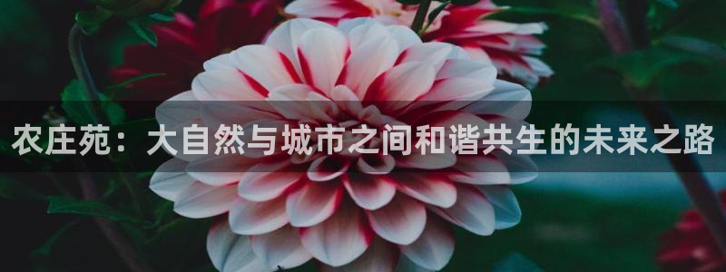 旧站九游会：农庄苑：大自然与城市之间和谐共生的未来之路