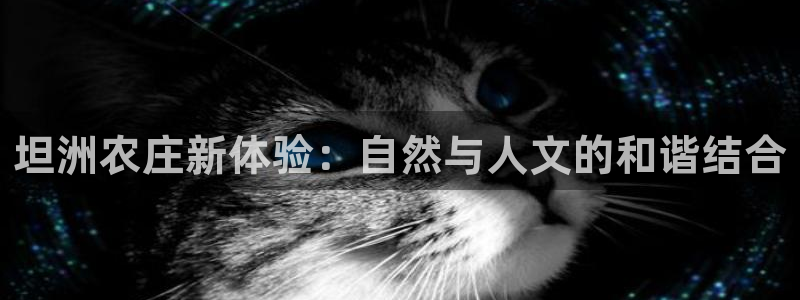 九游会官网真人游戏