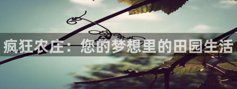 j9九游会备用网站
