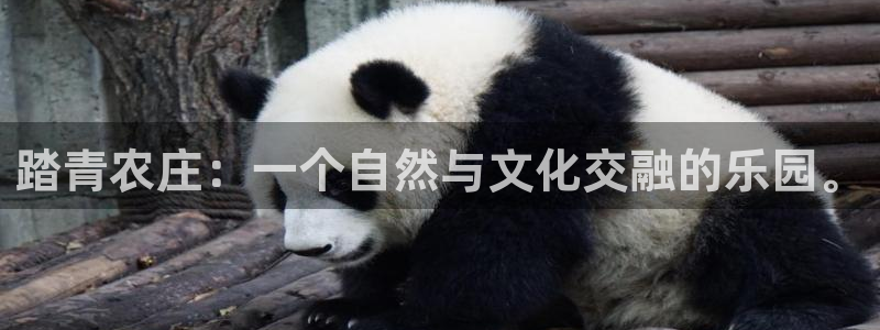 九游会网页登陆