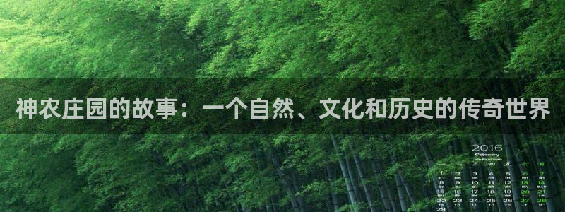九游会真实网