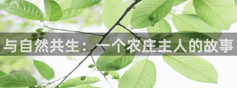 九游会提款未到显示成功
