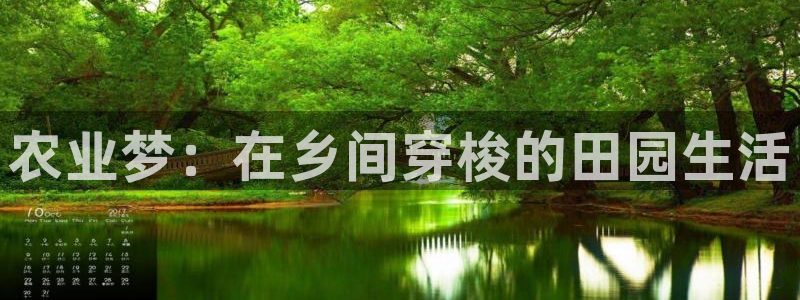 九游会不提款