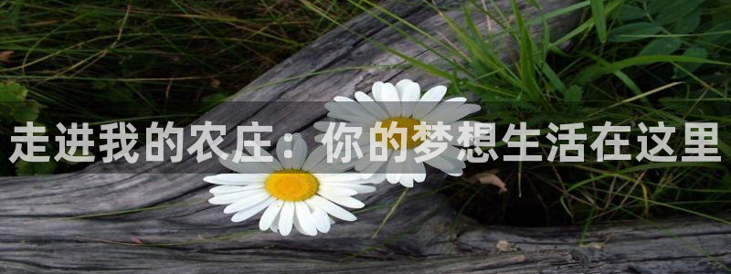九游会平台怎样