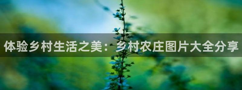 九游会ag下载