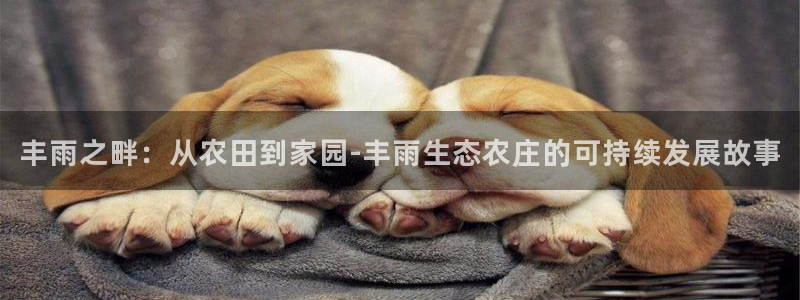 aj九游会亚