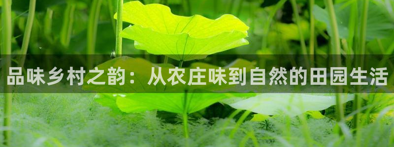 九游会官网入口在哪
