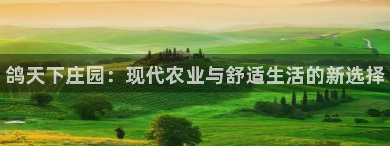 九游会手机客户端