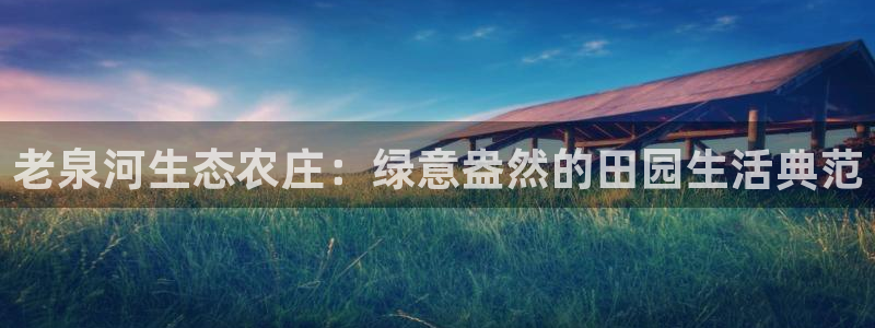 新版九游会