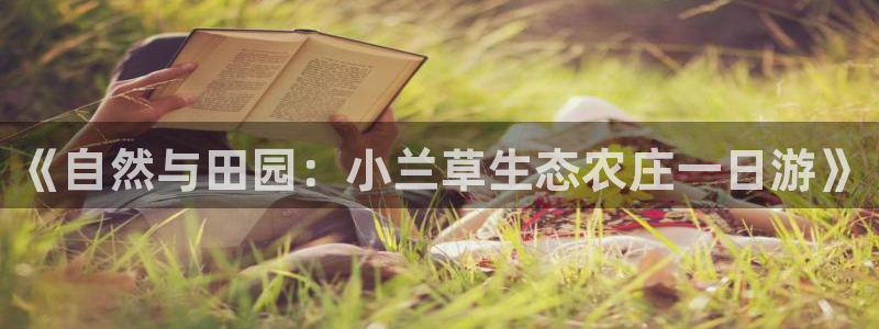 j9九游会官方网站国际