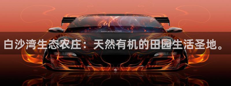 九游会积分王