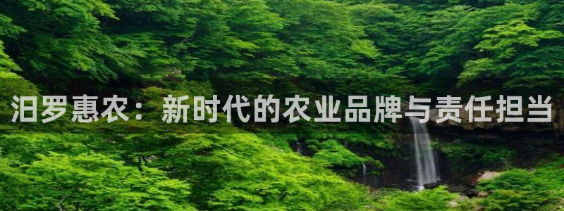 九游会体育网址