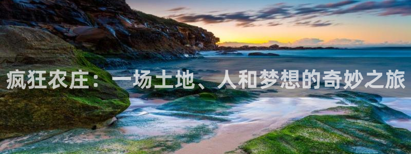 九游会af