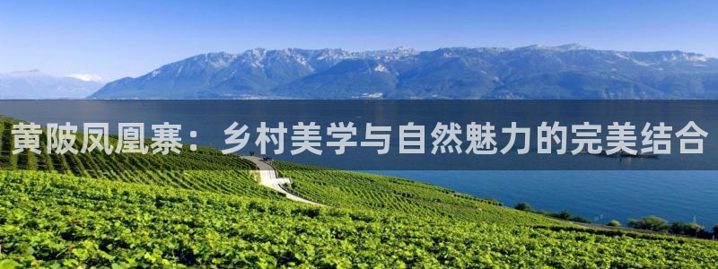 九游会能不能信