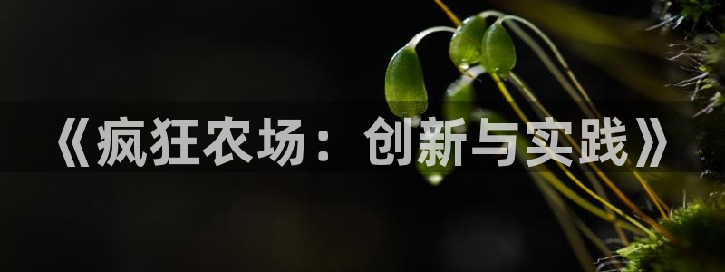 九游会直营厅网站