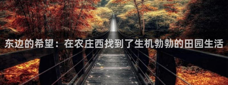 九游会备用入口