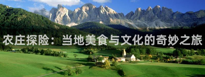九游会游戏官网入口