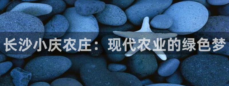 九游会网页入口