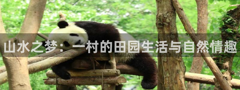 ag九游会官网下载