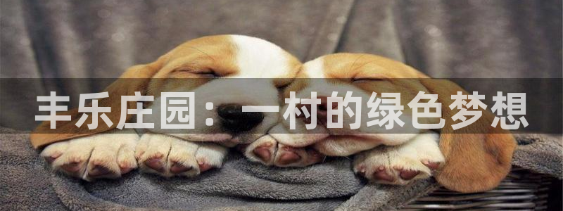 九游会怎么挖矿