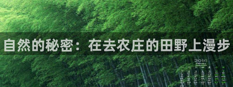 九游ag九游会