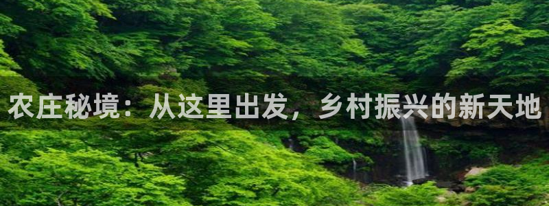 九游会直营厅网站