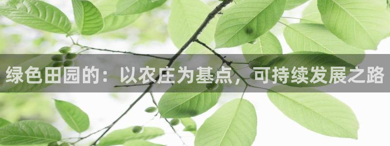 九游会私享