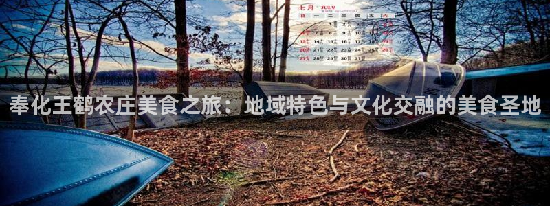 九游会网址入口