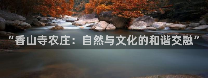九游会体育官方网站