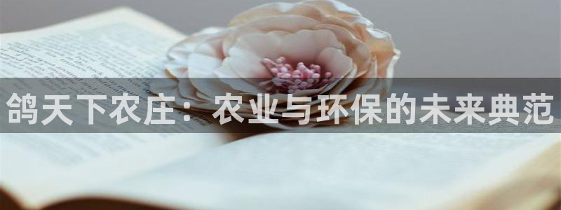 九游会老哥论坛修车