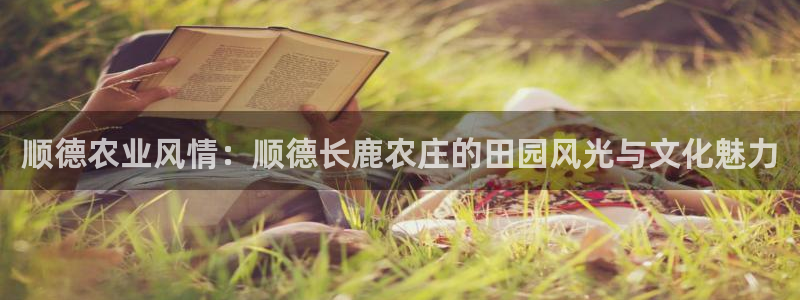 ag代理九游会