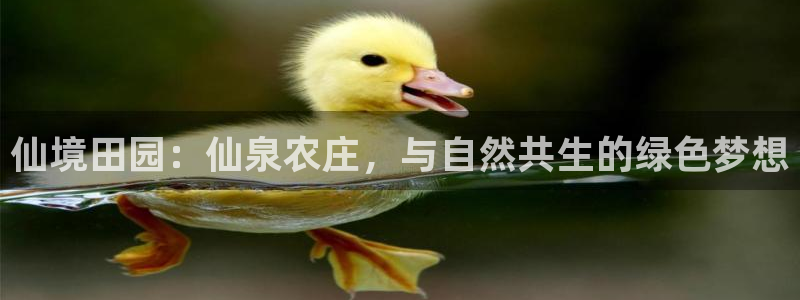 九游会官网入口下载安装