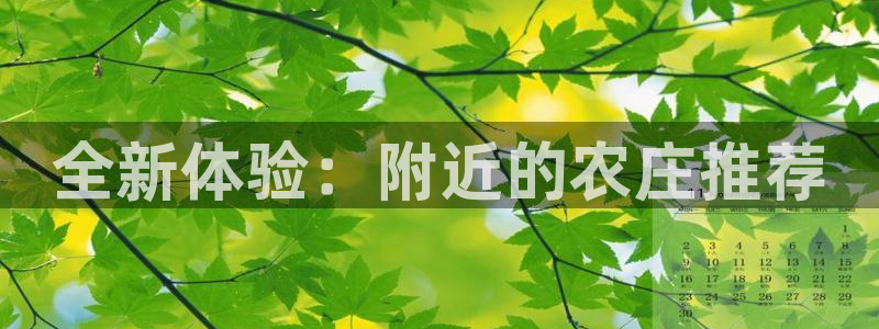 九游会黑网投诉吗