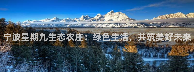 九游会ag亚洲