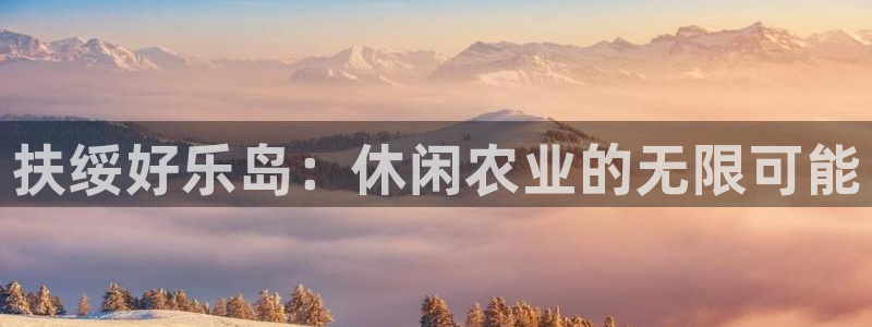 九游会国际物流