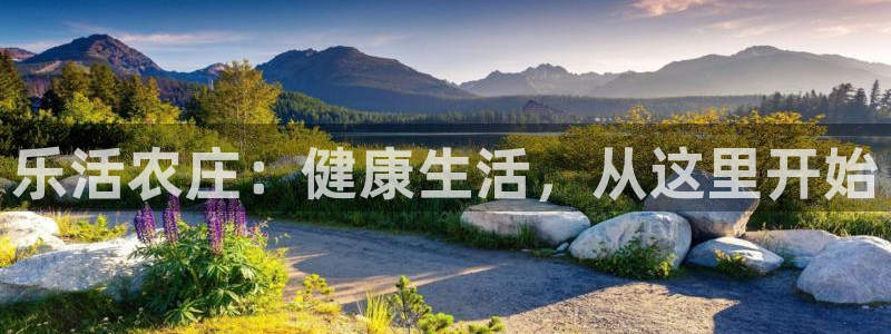 九游会ios