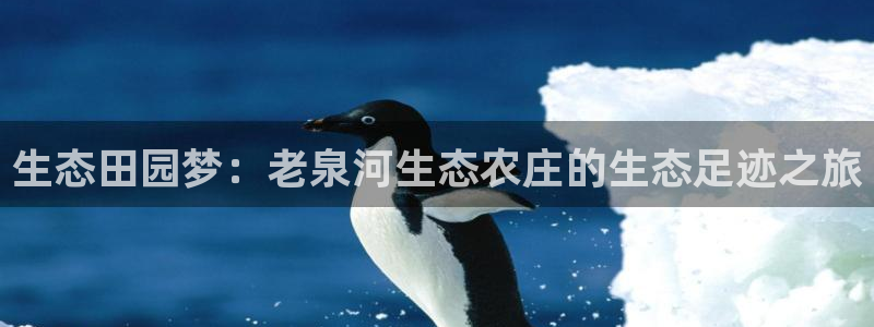 九游账号会丢吗吗