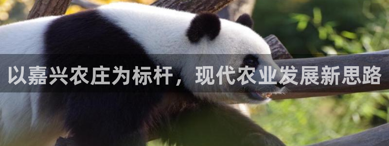 什么是九游会