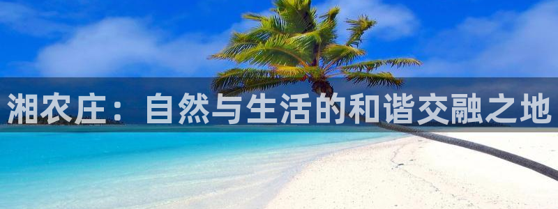 老九门手游发布会