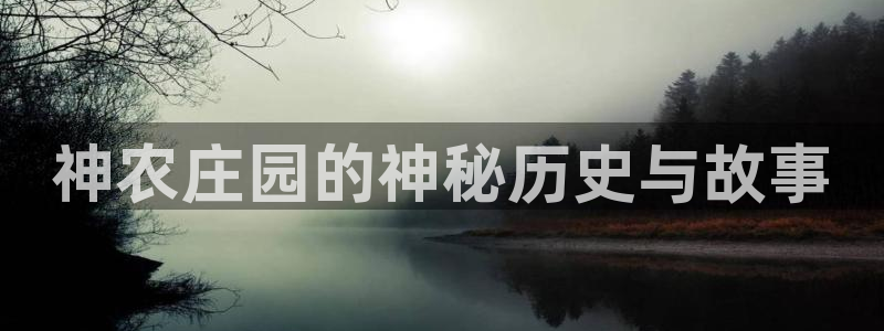 九游会网站网址