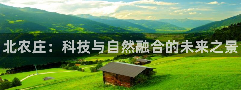 九游平台会封号吗