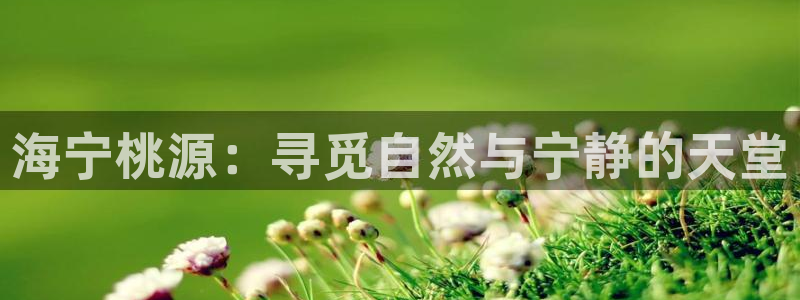 九游会JY3668