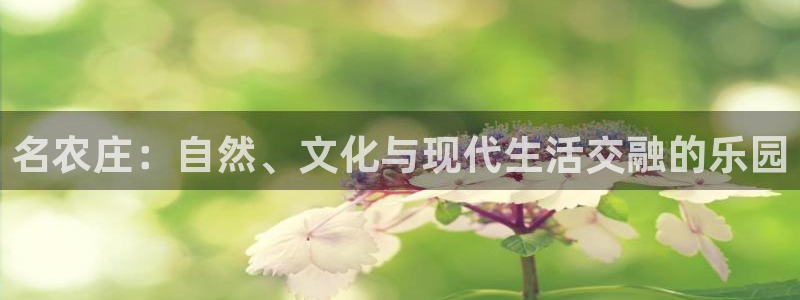 九游会老板是谁