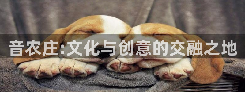 九游会连接