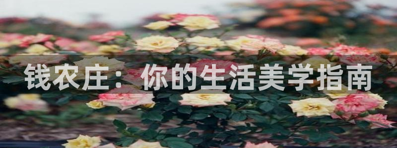 九游会J9登陆入口