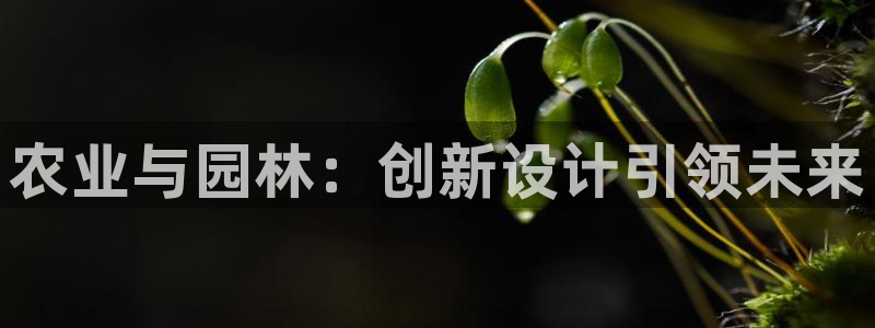 九游会公司介绍