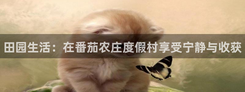 九游会备用网