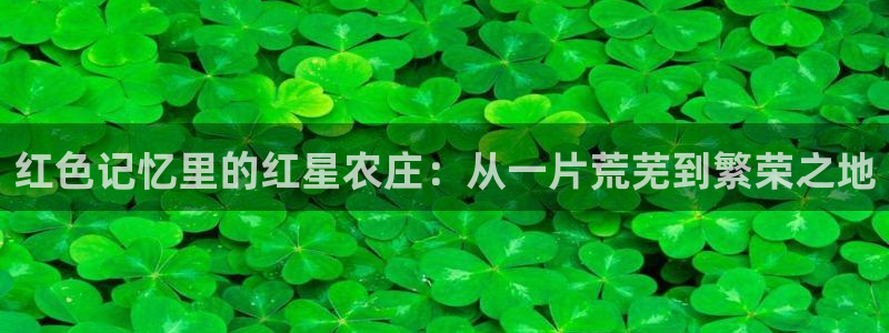 收九游会