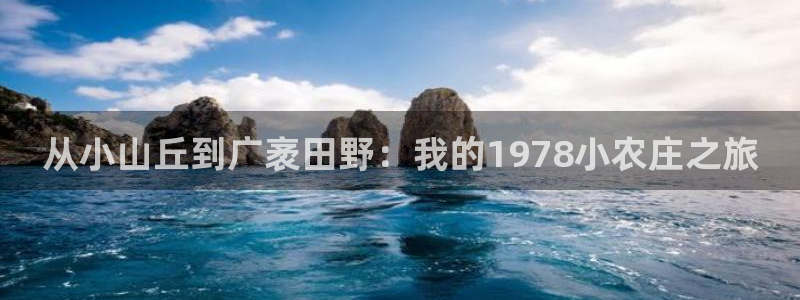 九游会网址入口