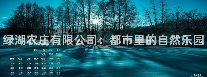 九游会2024